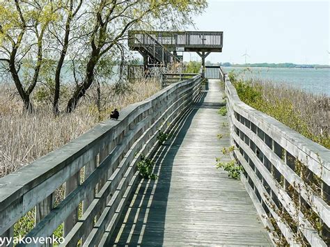 Rondeau Provincial Park Morpeth All You Need To Know Before You Go