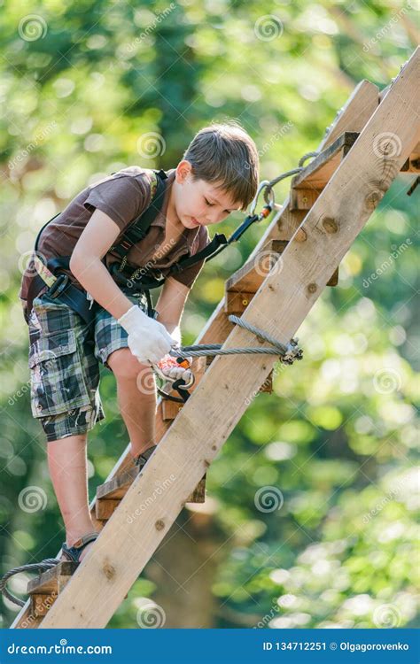 Boy Climbing Ladder With Equipment In Adventure Rope Park Stock Image