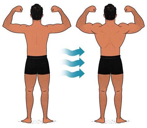 How To Train All Your Back Muscles