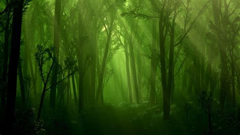 Fantasy Green Forest Wallpaper
