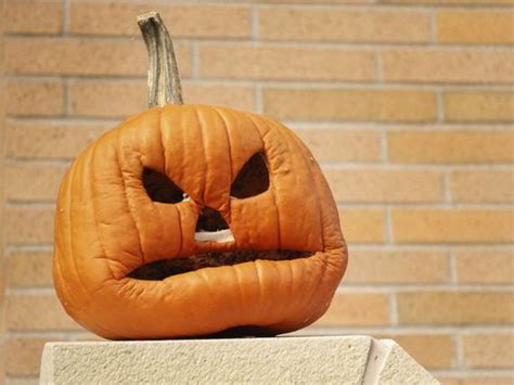 70 Cool Easy Pumpkin Carving Ideas For Wonderful Halloween Day