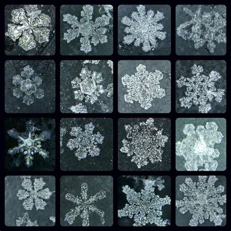 Real Snowflakes Under Microscope