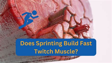 Does Sprinting Build Fast Twitch Muscle Azide Performance