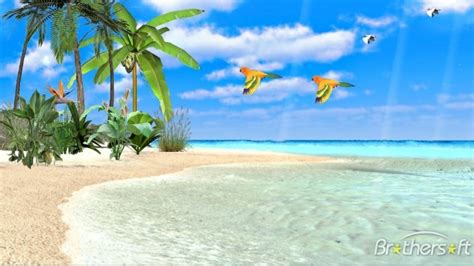 43 Tropical Beach Screensavers And Wallpaper Wallpapersafari