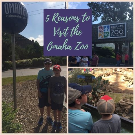 5 Reasons To Visit Omahas Henry Doorly Zoo Where Connor And Jt Go
