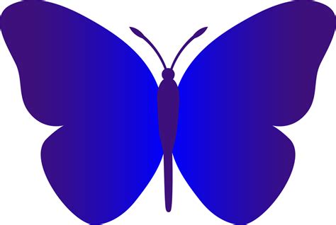 Animated Cartoon Butterfly Clipart Best