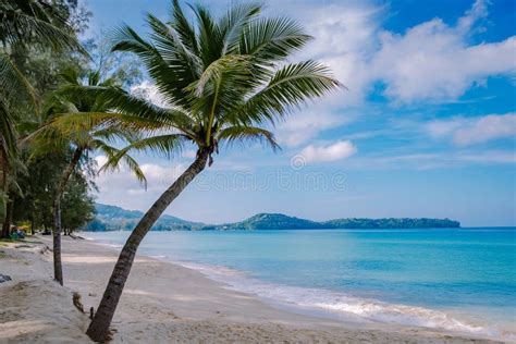 Bang Tao Beach Phuket Thailand Beach With Palm Trees And Golden Sand