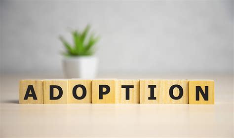 Adoption In Deutschland Voraussetzungen Des Adoptionsverfahrens Bei