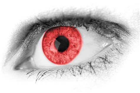 Red Eye Detail Free Stock Photo Public Domain Pictures