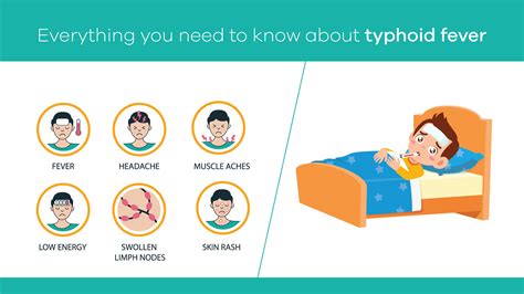 What Are The Symptoms Of Typhoid Fever Eadventure