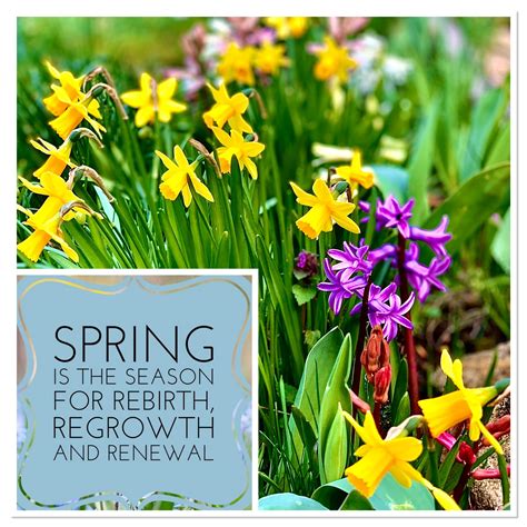 Healing Hands Massage and Energy Work | Bicester