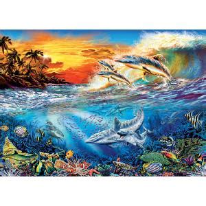 Ravensburger Look And Find Dolphins Piece Jigsaw Puzzle Jigsaws And Puzzle Review