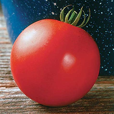 Mountain Fresh Plus Hybrid Tomato Seeds 80 Seed Pack Ebay