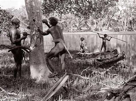Blueswami Old Photos Of Australian Aborigines Old Photos Of Australian Arte Prehistorico
