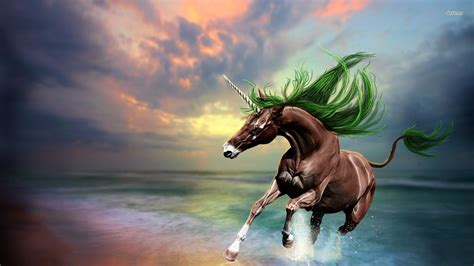 Funny Unicorn Wallpaper Full Hd Free Download For Pc