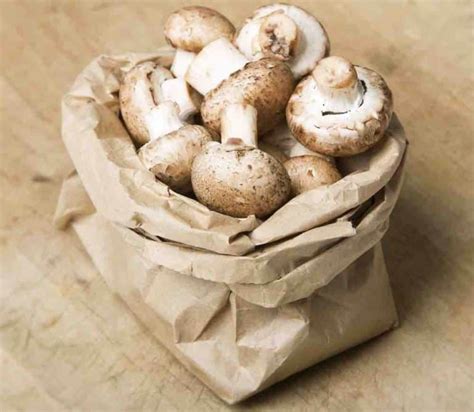 How To Tell If Mushrooms Have Gone Bad Are Your Fungi Finished Happy Happy Vegan