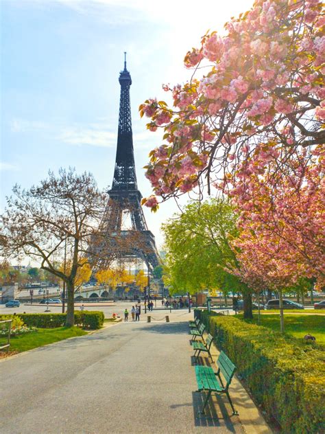 낮 동안 프랑스 파리의 에펠탑 사진 Unsplash의 무료 식물 이미지