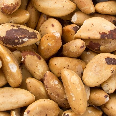 Dry Roasted Unsalted Brazil Nuts Bulk Brazil Nuts Bulk Nuts And Seeds