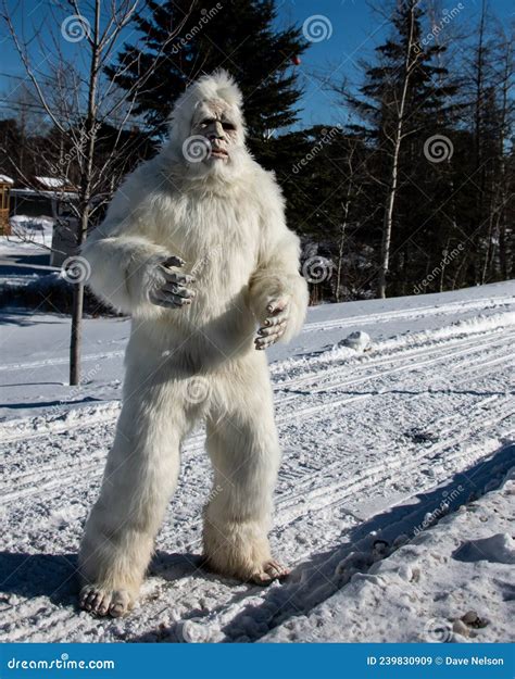 Yeti Standing On Snowmobile Trail Editorial Stock Image Image Of Blue Abominable 239830909