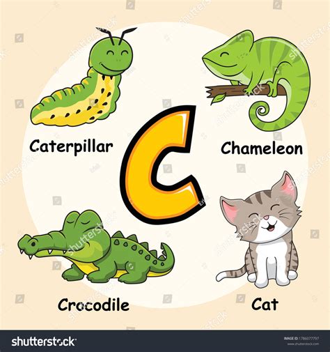 Cute Animals Alphabet Letter C Cat Stock Vector Royalty Free