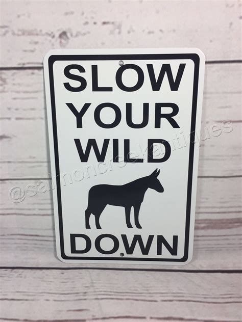 Slow Your Wild A Down Funny Metal Street Road Farm Sign New Etsy