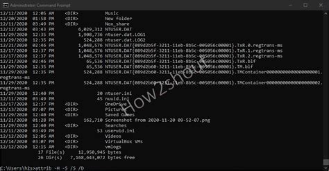 How To Show Hidden Files In Windows 10 Using Command Prompt Vrogue