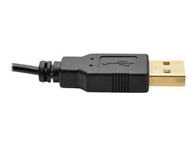 Tripp Lite HDMI To DisplayPort Active Converter 4K With USB Power HDMI
