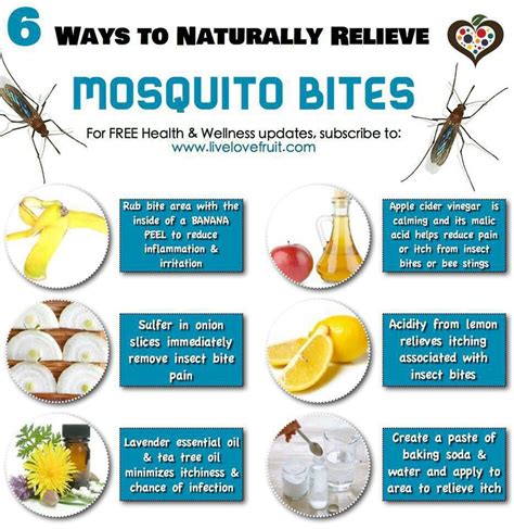 Itchy Scratchy Relief Remedies For Mosquito Bites Bug Bite Relief