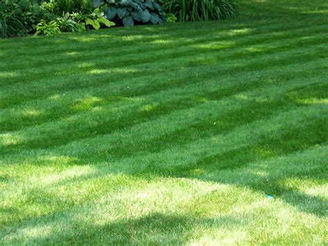 How To Stripe Your Lawn With Pictures Instructables