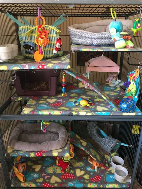 Rottweileramerican ferret toys diy pet. Rat cage | Diy rat toys, Pet ferret, Rat toys