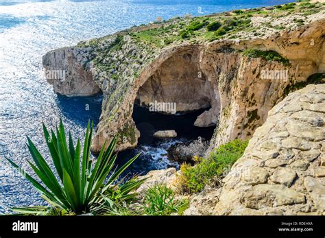 Blue Grotto Malta Natural Stone Arch And Sea Caves And Agave Plant In
