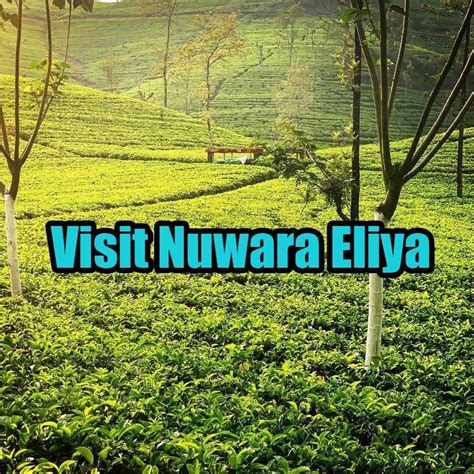 Visit Nuwara Eliya