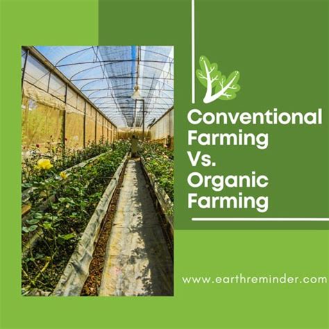 Organic Farming Vs Conventional Farming Difference Earth Reminder