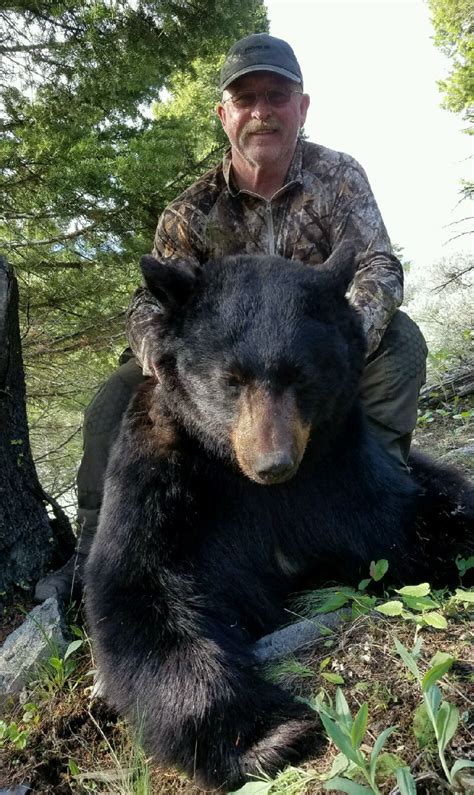 Spring Black Bear Hunting Wild West Outfitters
