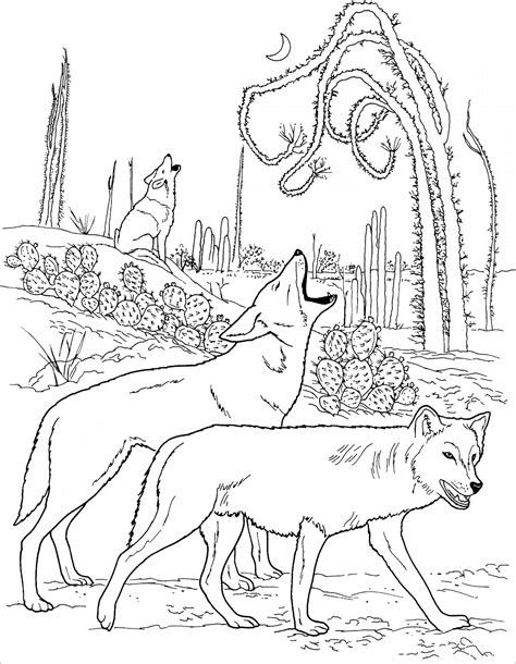 Sitting Howling Wolf Coloring Coloring Coloring Pages