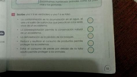 Escribe Una V Si Es Verdadero Y Una F Si Es Falso Brainly Lat