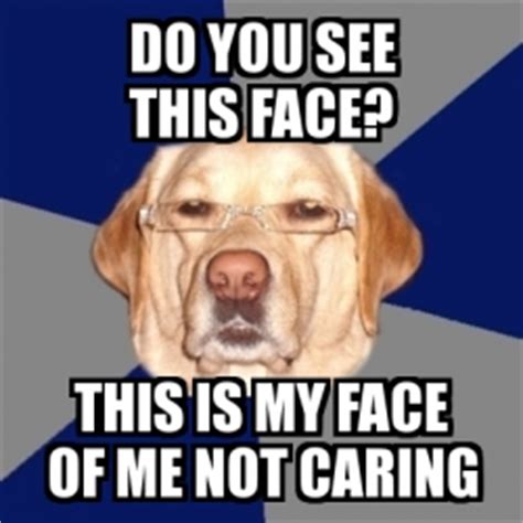 Share the best gifs now >>>. Meme Perro Racista - DO YOU SEE THIS FACE? THIS IS MY FACE ...