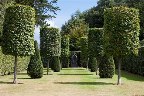 Tips For Trimming Hedges Into Novelty Shapes