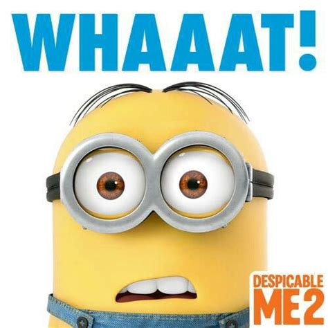 Minions Says Whaaat Minionsdespicable Me Pinterest