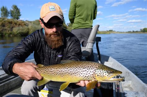 Best Fly Fishing Months In Montana All About Fishing