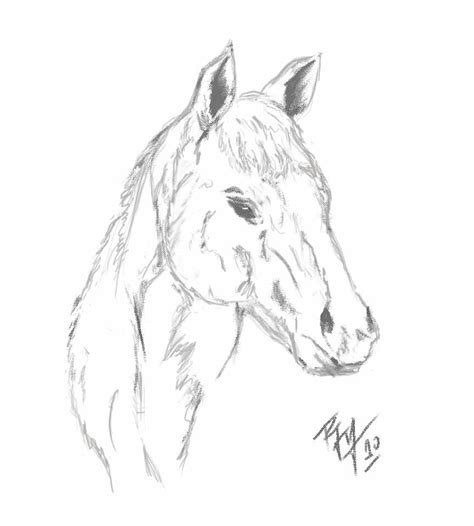 Tutorial Dibujo Caballo Dibujos De Caballos Dibujos