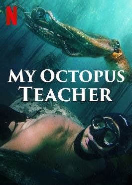 A filmmaker behind hit netflix documentary my octopus teacher says new zealand movie whale rider helped shape its content. My Octopus Teacher - VPRO Cinema - VPRO Gids