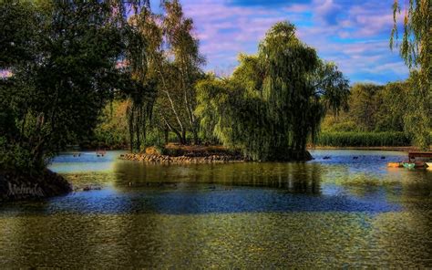 Picture Hungary Gyongyos Hdr Nature Parks River Trees 1920x1200