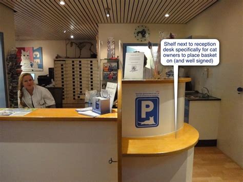 Riverside animal hospital riverside, ri. Cat Friendly Clinic: Waiting room or reception area ...