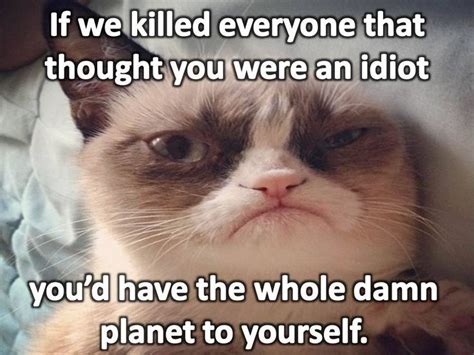 Pin By Happygal831 On Grumpy Cattartar Sauce Grumpy Cat Humor
