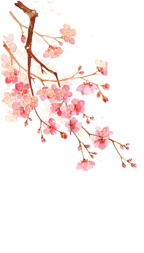 Cherry Blossoms Png 7 By Augt30 On Deviantart