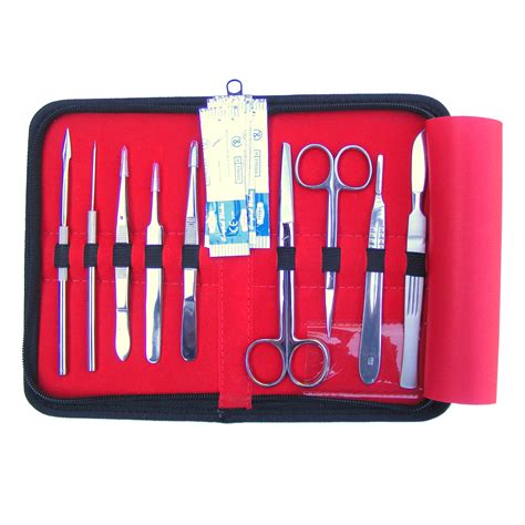 Dissecting Set Ds10 1003771 W11610 Dissecting Kits 3b Scientific