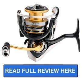 Best Daiwa Fishing Reel Reviews Salted Angler