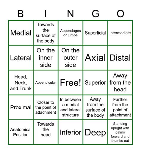 Anatomical Bingo Card