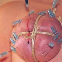 Mistress Destinys Femdom Forums Cock Ball Torture Needles Bondage Sex Links